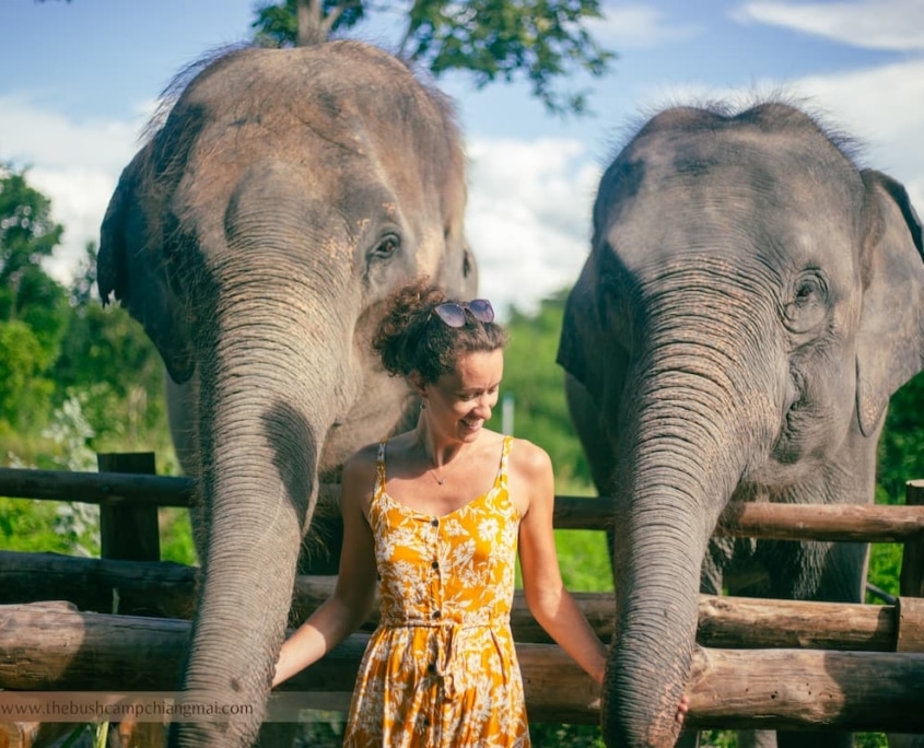 Ethical Elephant Tourism