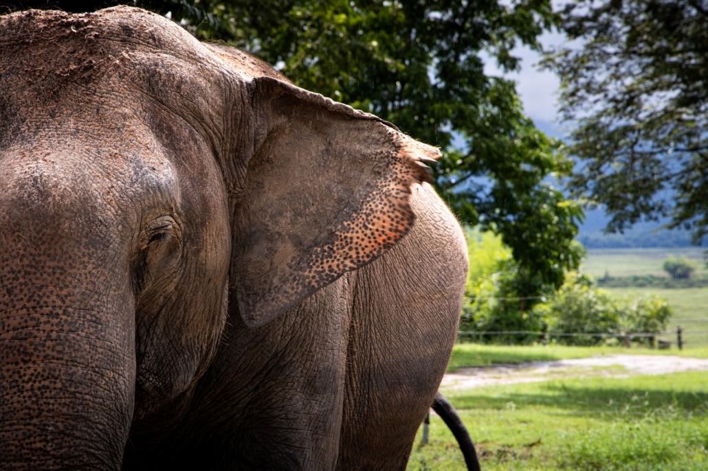 Mae Ping National Park Donation