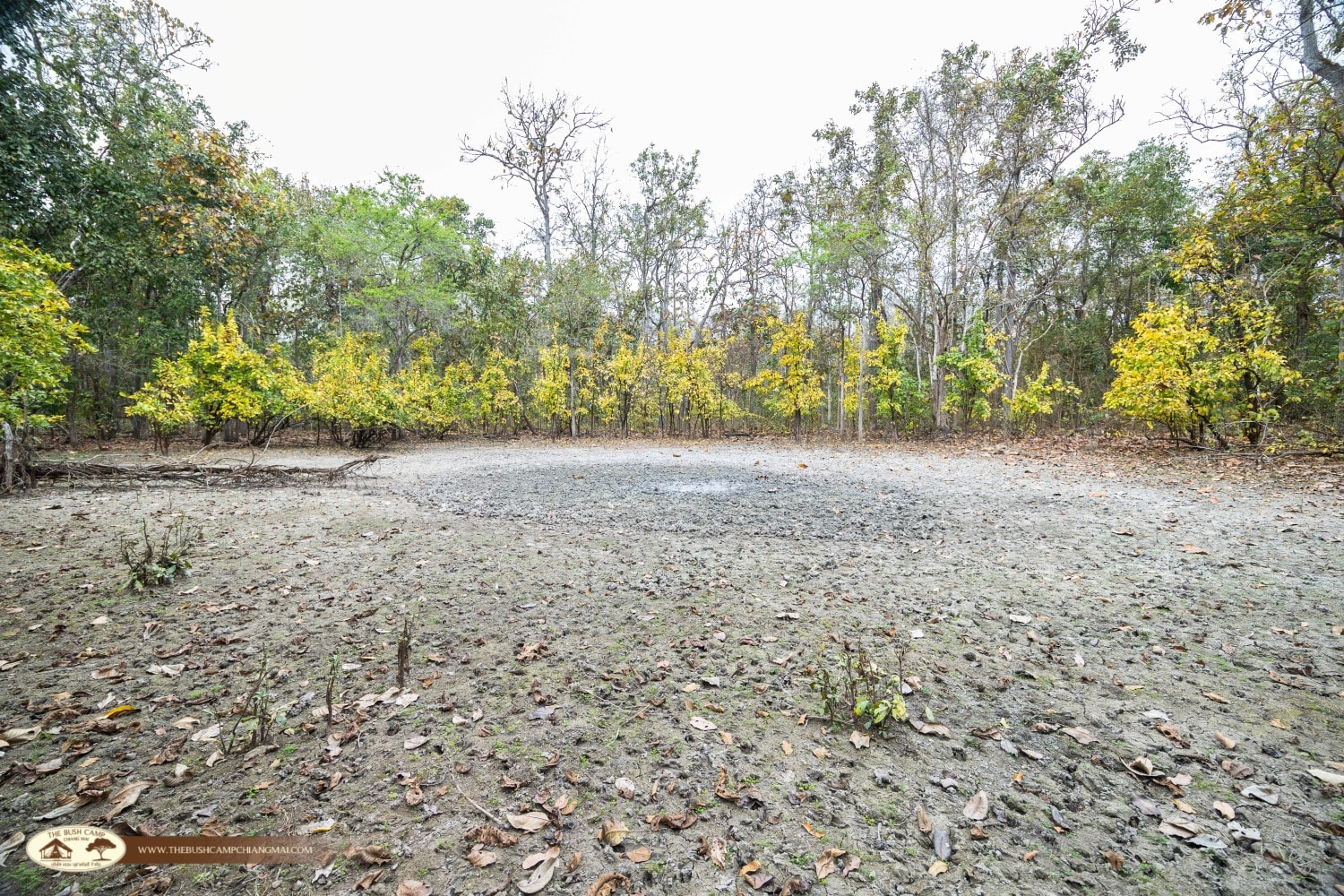 Wildlife Monitoring Project – Camera Trap Installation 2026