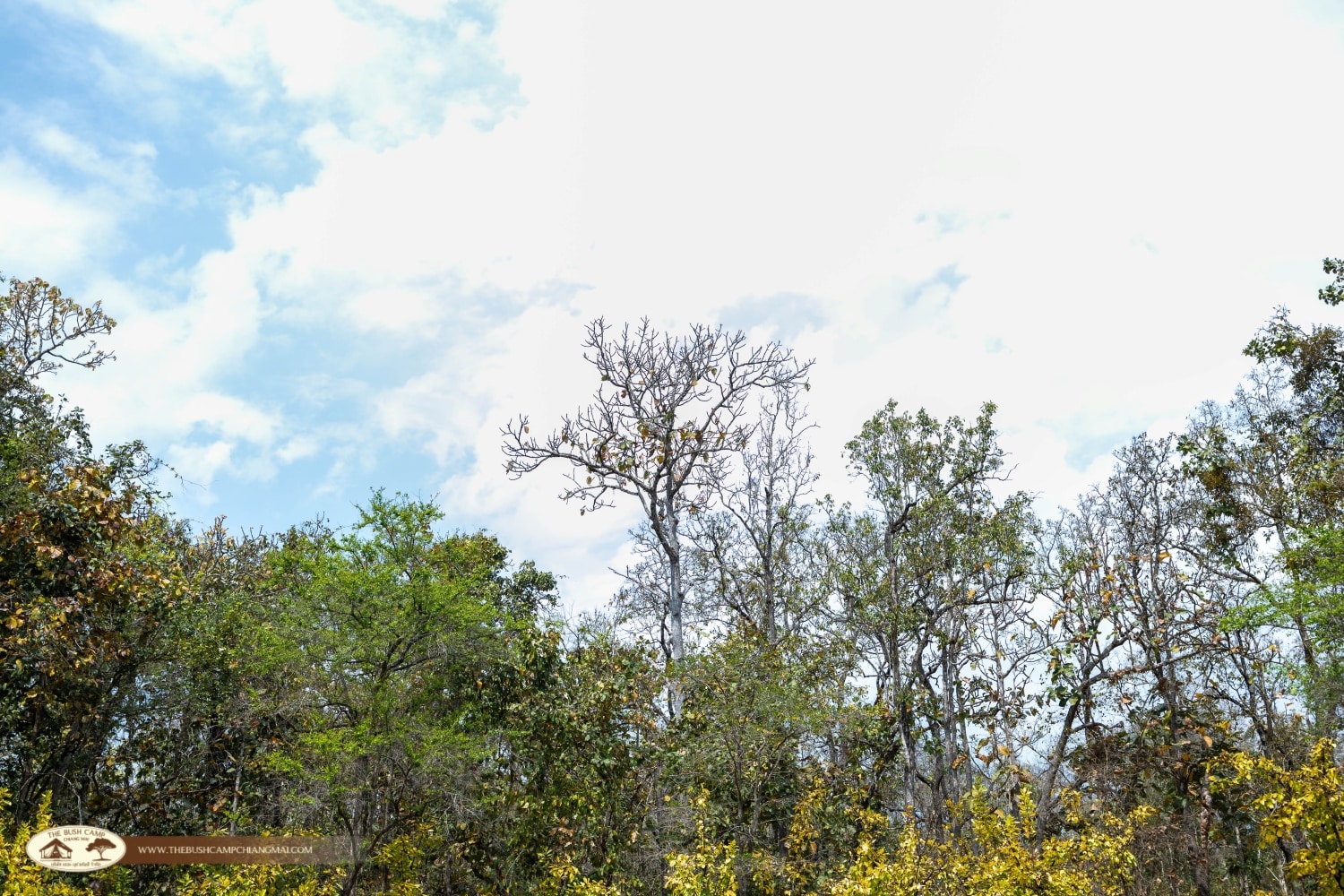 Wildlife Monitoring Project – Camera Trap Installation 2026