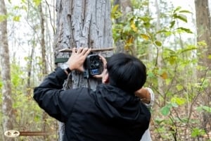 Wildlife monitoring project in Chiang Mai - Camera trap in Mae Ping National Park