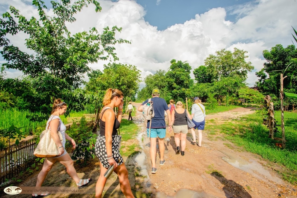 Getting Ready for Summer at The Bush Camp, Chiang Mai The warm summer season in Chiang Mai has arrived, bringing golden sunshine, blue skies, and unforgettable moments in nature