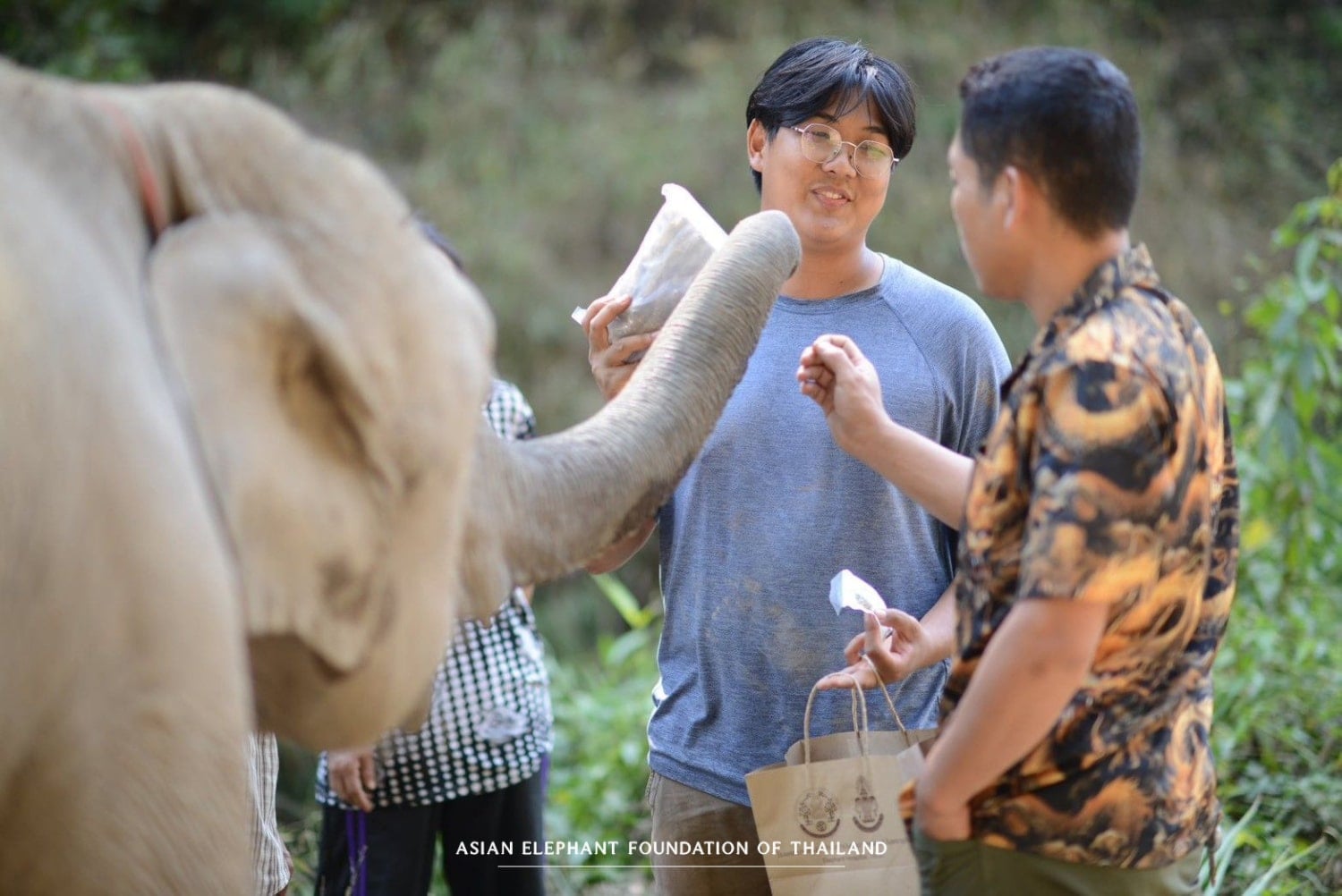 Supporting Elephants Beyond Our Camps Providing essential veterinary care to elephants in need