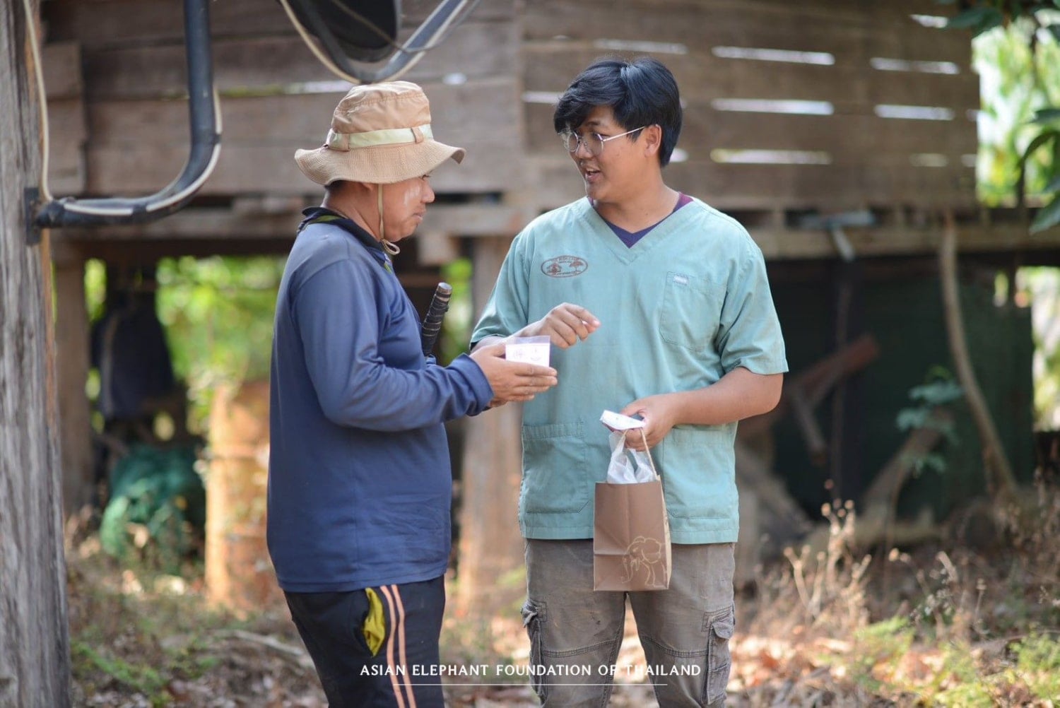 Supporting Elephants Beyond Our Camps Providing essential veterinary care to elephants in need