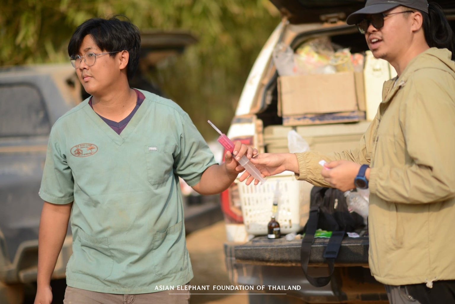 Supporting Elephants Beyond Our Camps Providing essential veterinary care to elephants in need