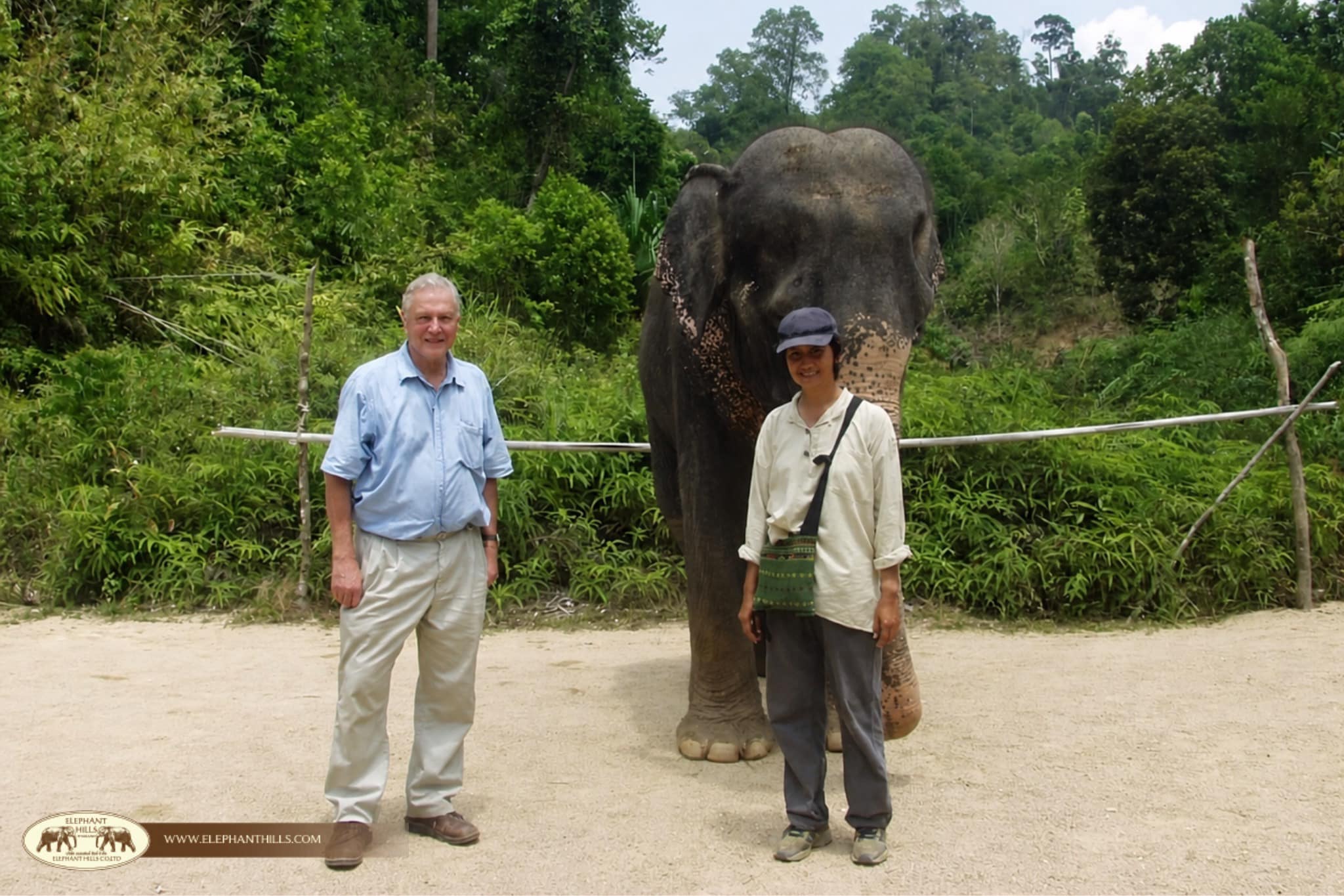 Happy 100th Birthday to David Attenborough