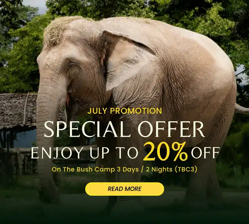 Special Offer