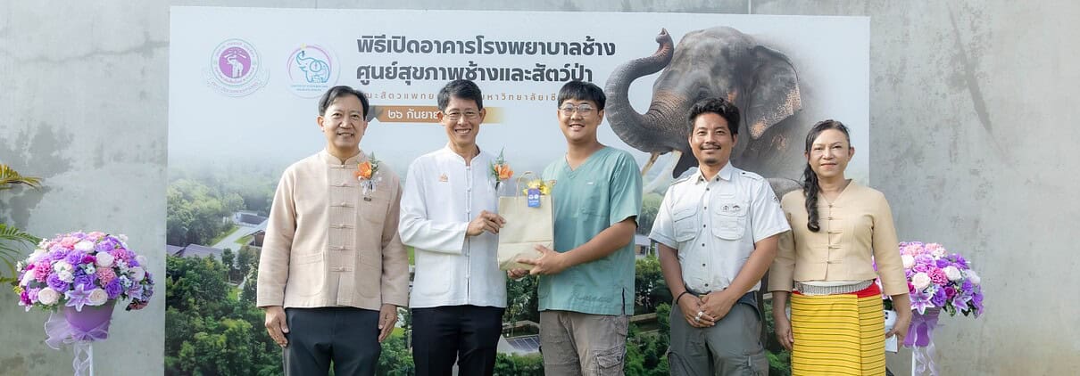 the New Elephant Hospital Building