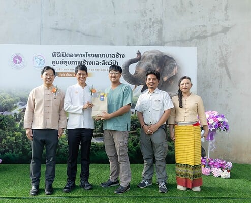 the New Elephant Hospital Building