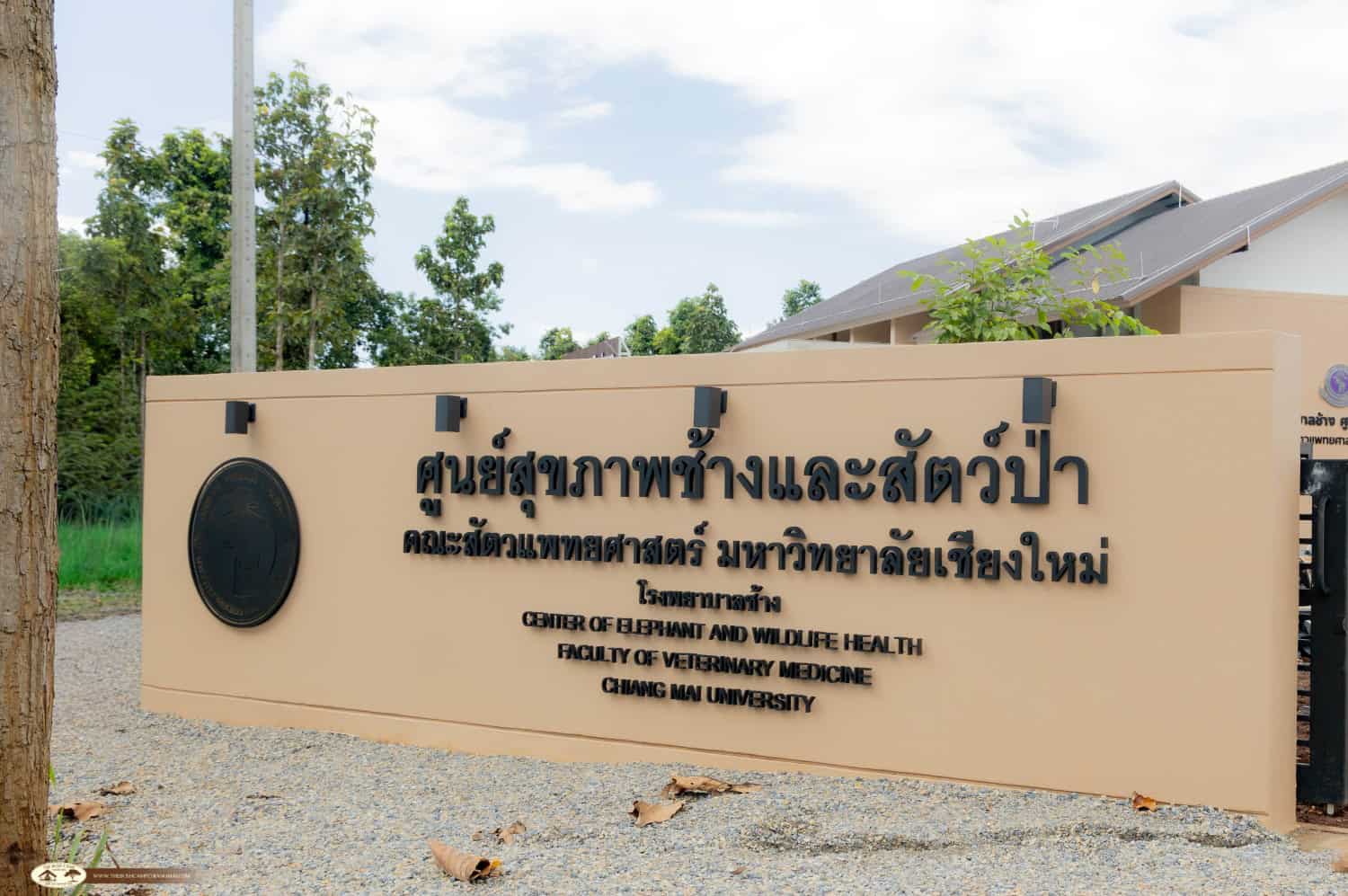 the New Elephant Hospital Building